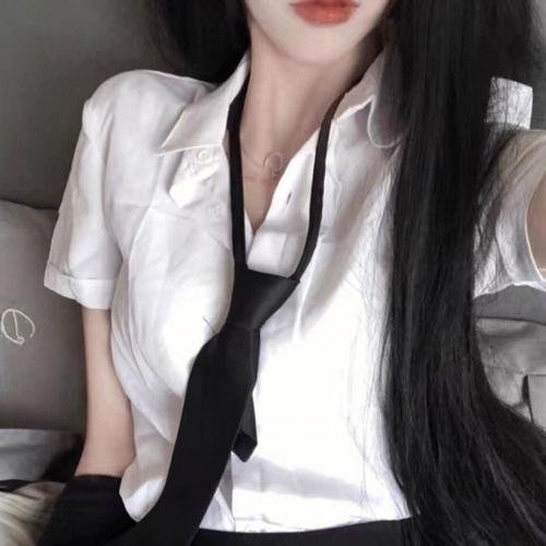 纽约提喻法